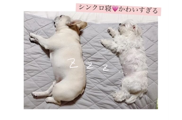 843A5C3F-47E6-4E0E-A326-B4F0AE7B5D05